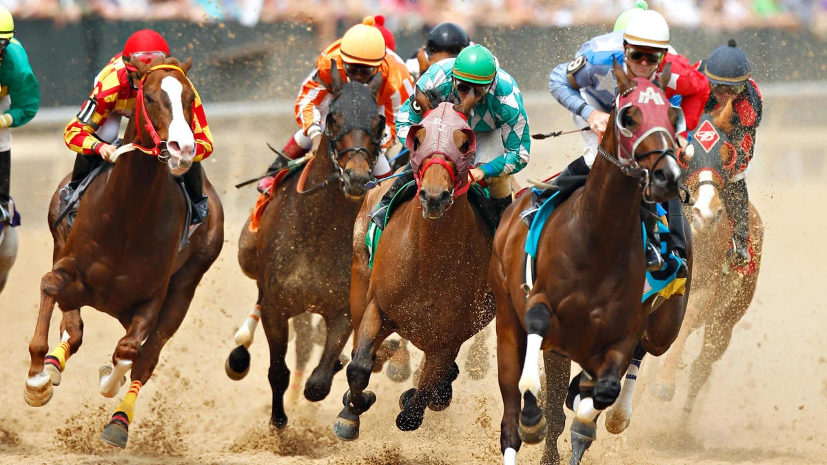 Horse Racing Bets