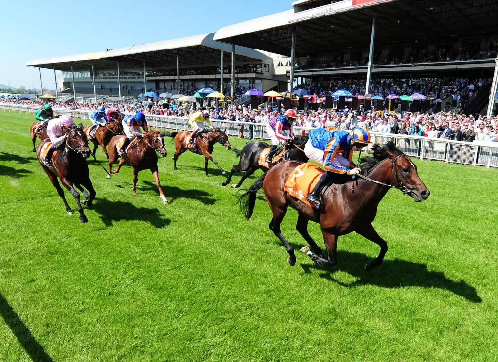 Betting on Grand National