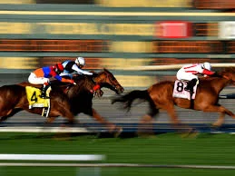 Top 10 Racehorse Trainers